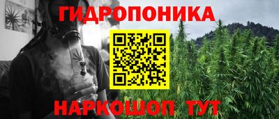 гашиш Кандалакша