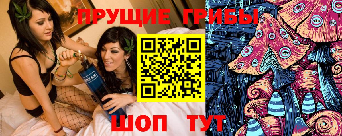 Галлюциногенные грибы прущие грибы Кострома